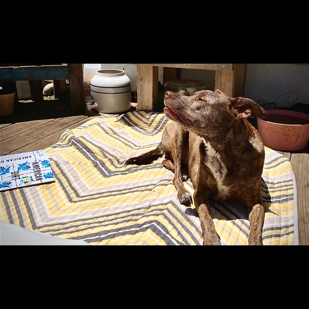 Meet your Posher, Diana